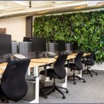 Kampus - Mall Managed by The Mall Company | Retail Real Estate